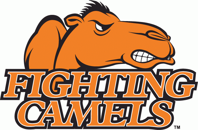 Campbell Fighting Camels 2005-2007 Alternate Logo diy iron on heat transfer